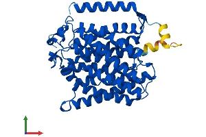 AlphaFold protein structure predicition of Human Recombinant RHAG Protein, UniprotID Q02094