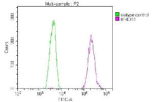 Overlay Peak curve showing U251 cells stained with ABIN7173630 (red line) at 1:100. (TSG101 anticorps  (AA 1-145))