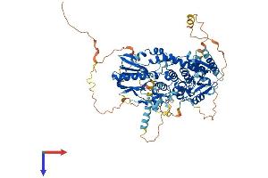 AlphaFold protein structure predicition of Human Recombinant MTMR12 Protein, UniprotID Q9C0I1
