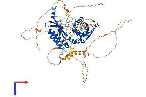 AlphaFold protein structure predicition of Mouse Recombinant Pip5k1c Protein, UniprotID O70161