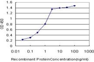 Detection limit for recombinant GST tagged FOXM1 is approximately 0. (FOXM1 anticorps  (AA 702-801))