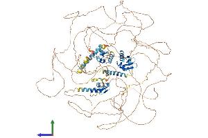 AlphaFold protein structure predicition of Human Recombinant RBM20 Protein, UniprotID Q5T481
