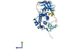 AlphaFold protein structure predicition of Mouse Recombinant Map2k3 Protein, UniprotID O09110