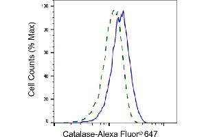 Validation of Catalase knockdown using flow cytometry.