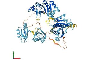 AlphaFold protein structure predicition of Human Recombinant IGF2BP1 Protein, UniprotID Q9NZI8