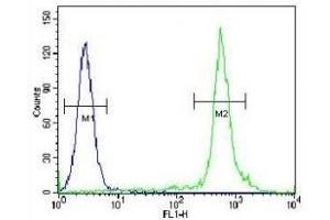 TTF1 antibody flow cytometric analysis of HeLa cells (green) compared to a negative control (blue).