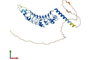 AlphaFold protein structure predicition of Mouse Recombinant Ppp1r42 Protein, UniprotID Q8R1Z4