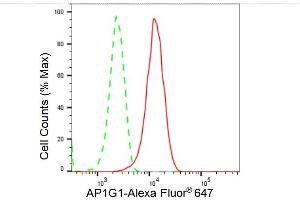 Flow cytometric analysis of AP1G1 expression in HepG2 cells using AP1G1 antibody (ABIN7797508), 1:2,000).