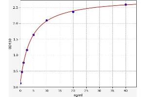 Cartilage Oligomeric Matrix Protein (COMP) ELISA Kit