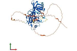 AlphaFold protein structure predicition of Human Recombinant SBK1 Protein, UniprotID Q52WX2