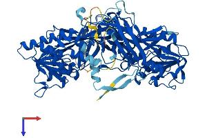 AlphaFold protein structure predicition of Human Recombinant PRMT7 Protein, UniprotID Q9NVM4