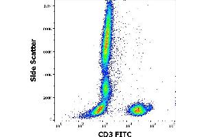 Flow cytometry surface staining pattern of human peripheral whole blood stained using anti-human CD3 (MEM-57) FITC antibody (20 μL reagent / 100 μL of peripheral whole blood). (CD3 anticorps  (FITC))
