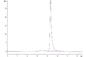 The purity of Human BTN3A1 is greater than 95 % as determined by SEC-HPLC.