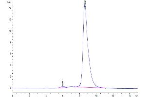The purity of Cynomolgus IL-18RAP is greater than 95 % as determined by SEC-HPLC.