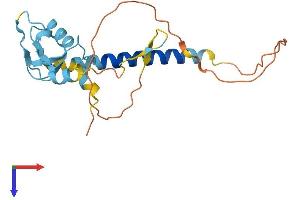 AlphaFold protein structure predicition of Mouse Recombinant Rnf152 Protein, UniprotID Q8BG47
