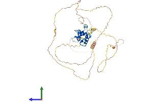 AlphaFold protein structure predicition of Mouse Recombinant Foxd4 Protein, UniprotID Q60688
