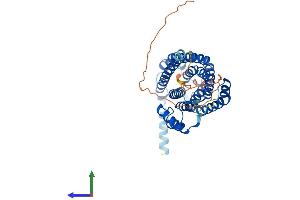 AlphaFold protein structure predicition of Mouse Recombinant Cers5 Protein, UniprotID Q9D6K9