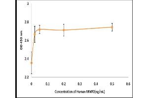Activity Assay (AcA) image for Matrix Metalloproteinase 2 (MMP2) (Active) protein (ABIN5509491) (MMP2 Protéine)