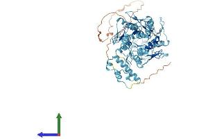 AlphaFold protein structure predicition of Human Recombinant ZNF30 Protein, UniprotID P17039