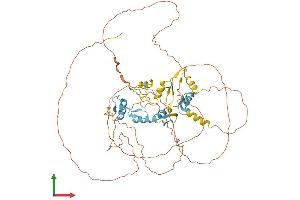 AlphaFold protein structure predicition of Human Recombinant IKZF4 Protein, UniprotID Q9H2S9