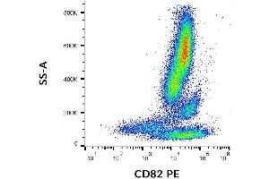 Flow cytometry analysis (surface staining) of CD82 on human peripheral blood cells with anti-CD82 (C33) PE. (CD82 anticorps  (PE))