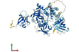 AlphaFold protein structure predicition of Human Recombinant FERMT3 Protein, UniprotID Q86UX7