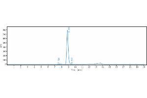 anti-NKG2A (Monalizumab Biosimilar) antibody
