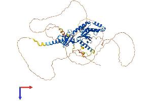 AlphaFold protein structure predicition of Mouse Recombinant Cacnb2 Protein, UniprotID Q8CC27