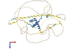 AlphaFold protein structure predicition of Human Recombinant HOXA3 Protein, UniprotID O43365
