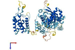 AlphaFold protein structure predicition of Human Recombinant PI4KAP2 Protein, UniprotID A4QPH2
