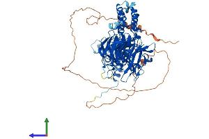 AlphaFold protein structure predicition of Human Recombinant KLHL4 Protein, UniprotID Q9C0H6