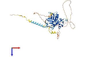AlphaFold protein structure predicition of Mouse Recombinant Tub Protein, UniprotID P50586