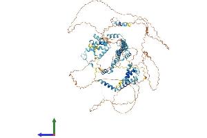 AlphaFold protein structure predicition of Human Recombinant SUGP2 Protein, UniprotID Q8IX01