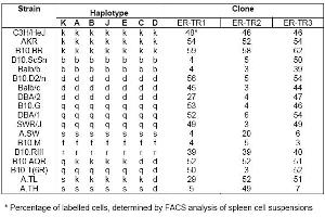 Distribution of ER-TR 1, ER-TR 2 and ER-TR 3 among mouse strains with independent and recombinant haplotypes* (MHC Class II Antigen I Ak,d,b,q,r anticorps (FITC))