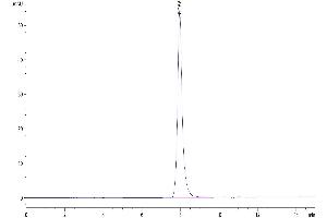 The purity of Biotinylated Human TRAIL R2 is greater than 95 % as determined by SEC-HPLC.