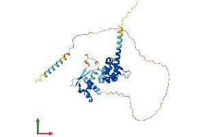 AlphaFold protein structure predicition of Human Recombinant MAGEB1 Protein, UniprotID P43366