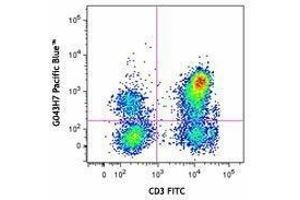 Flow Cytometry (FACS) image for anti-Chemokine (C-C Motif) Receptor 7 (CCR7) antibody (Pacific Blue) (ABIN2662215) (CCR7 anticorps  (Pacific Blue))