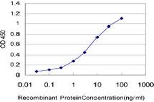 Detection limit for recombinant GST tagged RPS17 is approximately 0.