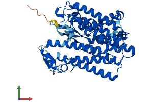 AlphaFold protein structure predicition of Mouse Recombinant Tm7sf2 Protein, UniprotID Q71KT5