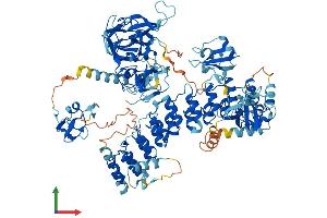 AlphaFold protein structure predicition of Mouse Recombinant Mib2 Protein, UniprotID Q8R516