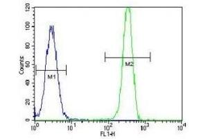 MSH2 antibody flow cytometric analysis of HeLa cells (green) compared to a negative control (blue).