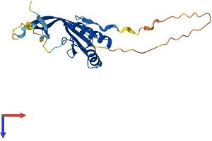 AlphaFold protein structure predicition of Mouse Recombinant Rpp25 Protein, UniprotID Q91WE3