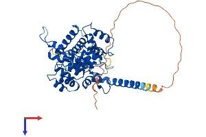 AlphaFold protein structure predicition of Human Recombinant ANKMY2 Protein, UniprotID Q8IV38
