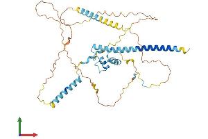 AlphaFold protein structure predicition of Human Recombinant NKAP Protein, UniprotID Q8N5F7