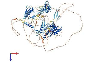 AlphaFold protein structure predicition of Human Recombinant ARHGAP27 Protein, UniprotID Q6ZUM4