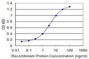Detection limit for recombinant GST tagged SLC6A11 is 0.
