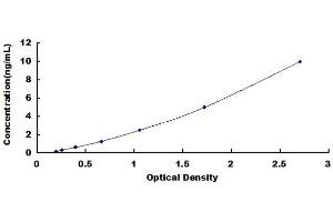 Typical standard curve (HRSP12 Kit ELISA)