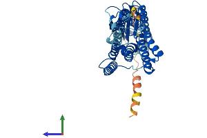 AlphaFold protein structure predicition of Human Recombinant CTNS Protein, UniprotID O60931