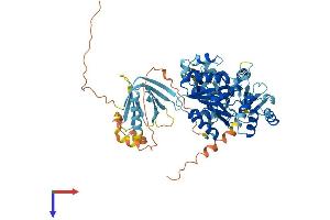 AlphaFold protein structure predicition of Mouse Recombinant Pif1 Protein, UniprotID Q80SX8
