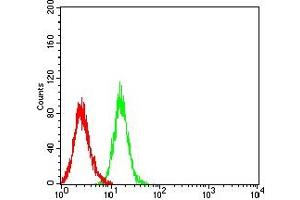 Flow cytometric analysis of HL-60 cells using CD274 mouse mAb (green) and negative control (red).
